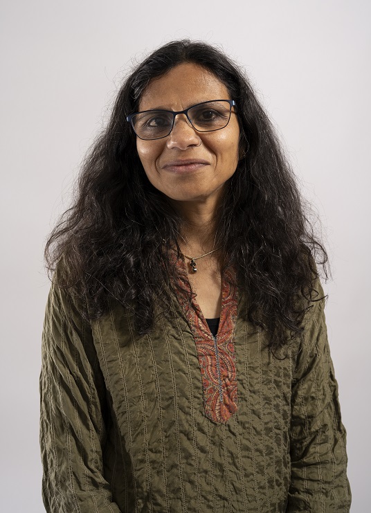 Geetanjali Gangoli, CRiVA member
