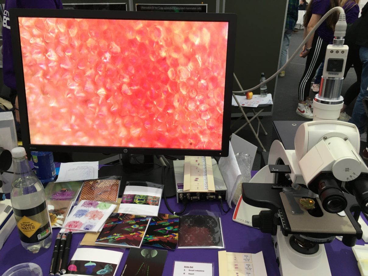 Microscope on Department of Biosciences stand